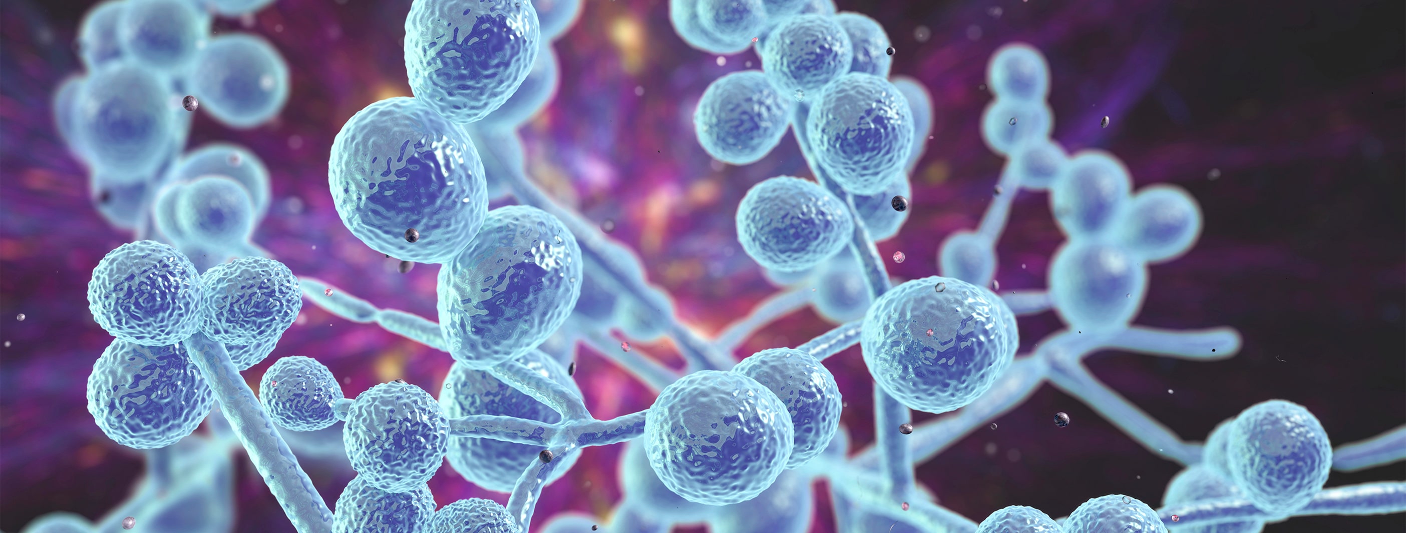 Candida Mantarı Nedir? Nedenleri, Belirtileri ve Tedavisi
